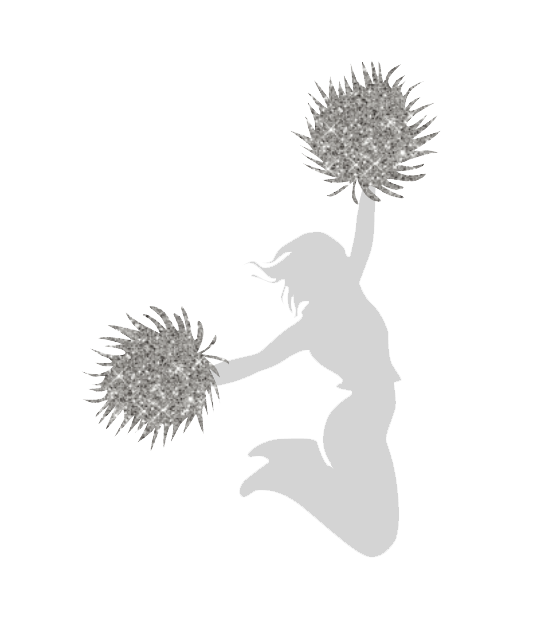 Tanzgruppe - Showtanz - Karneval - Cheerleader