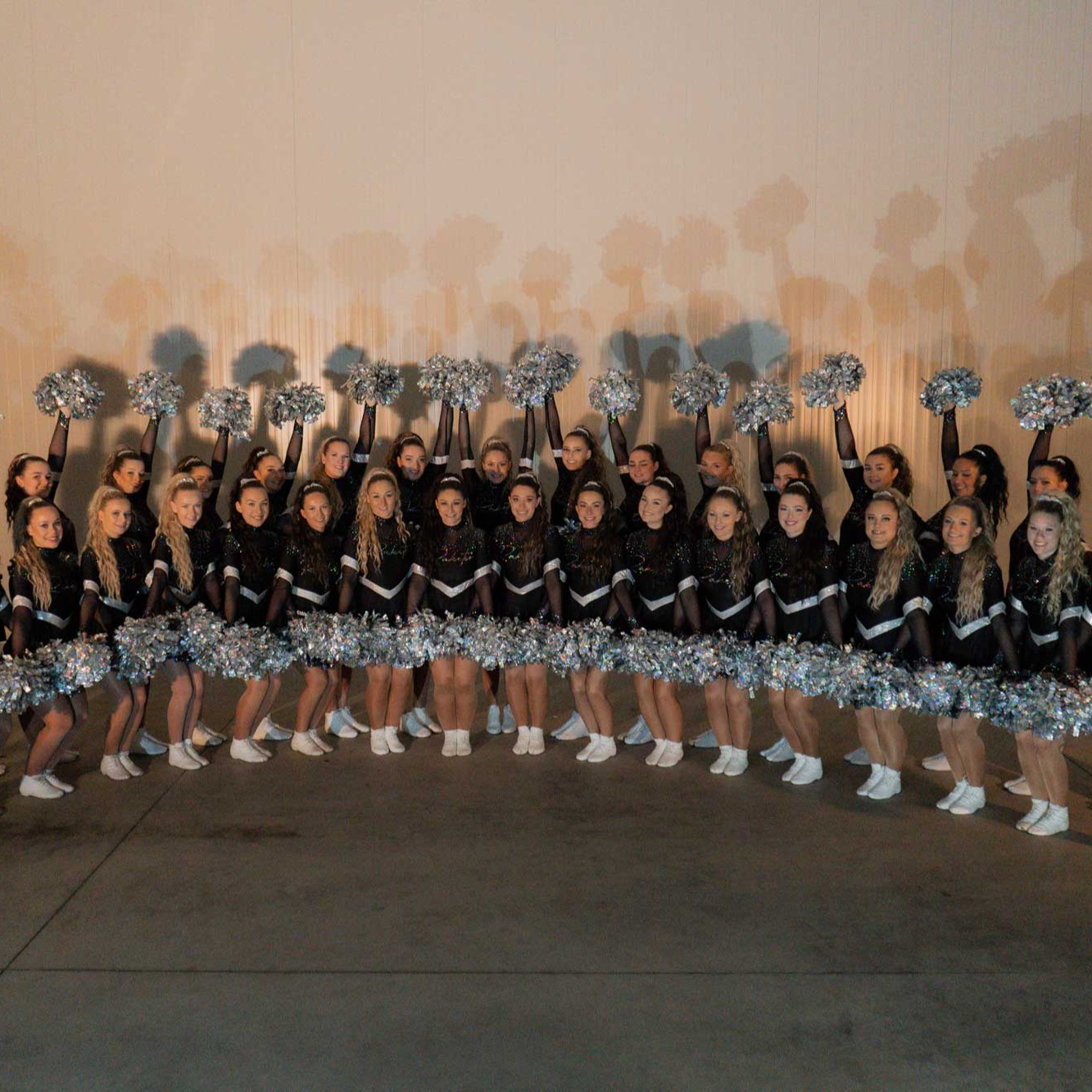 Raketen - Tanzgruppe für Cheerleading Karneval Showtanz