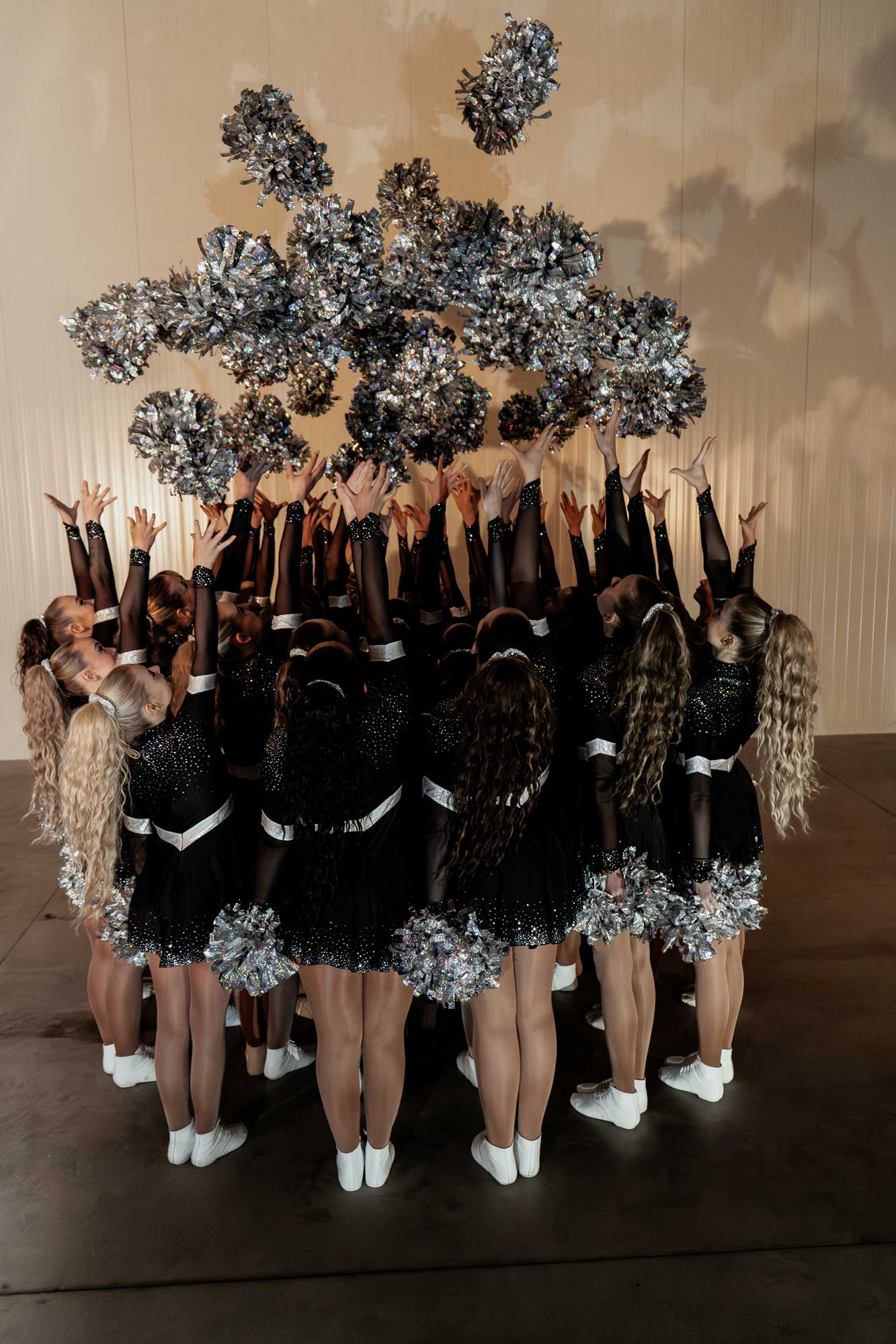 Tanzgruppe für Karneval und Showtanz